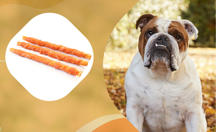 Collagen Dog Chews Series
