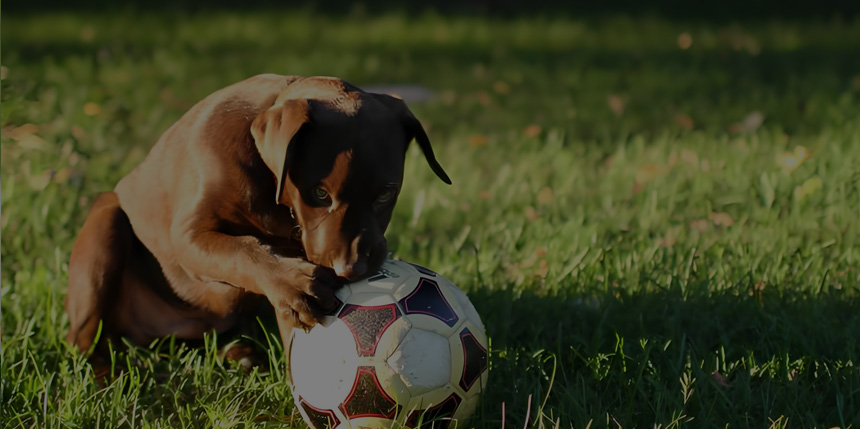 User oriented approach